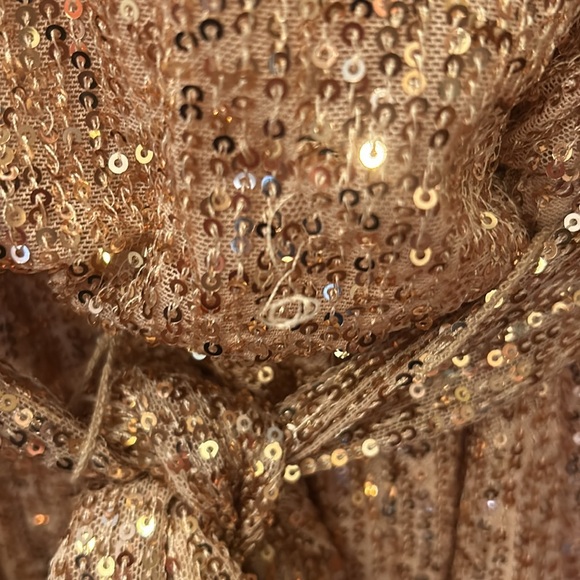 Crystal Sky Gold Sequined Dress - Picture 4 of 8